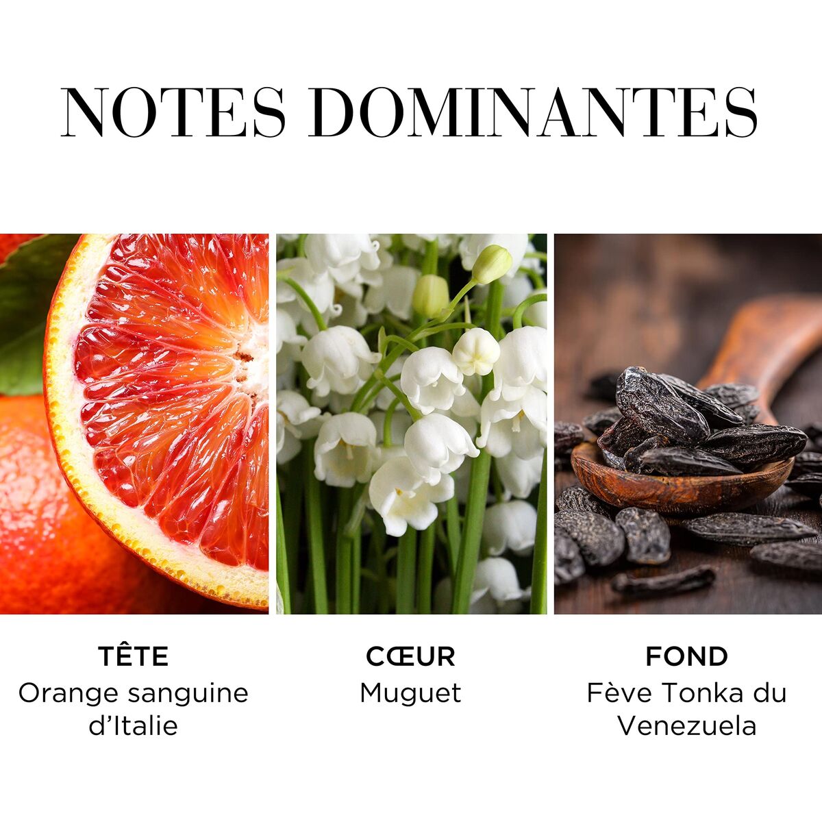 V4H511AF47CCCDB53B8BAA0CFC2ABBFB1F7R7472962P9