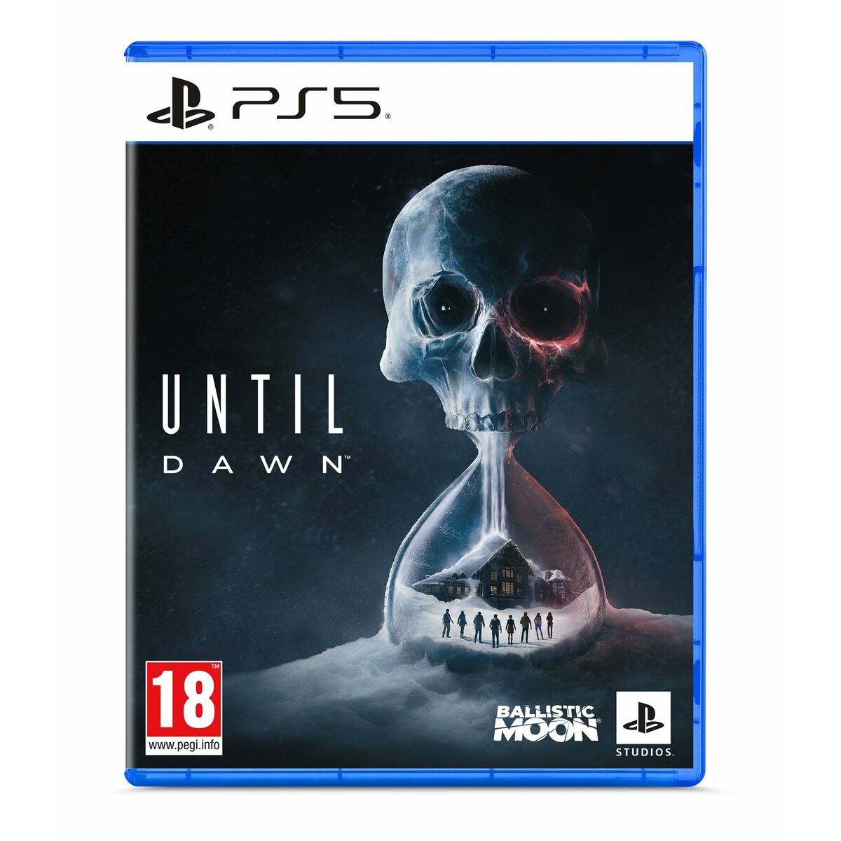 Sony Playstation 5 Video Game Sony Until Dawn