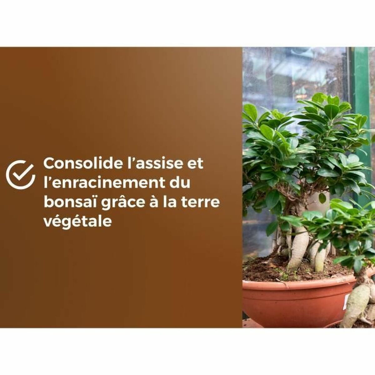 V4H338C5B0C878C1B356285F60ABACE8D01R6736619P6