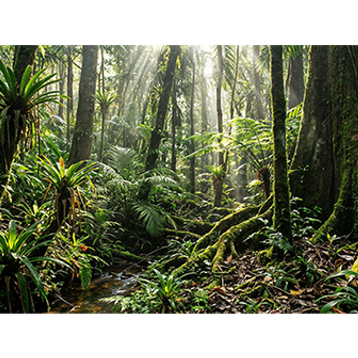 Hp Laptop Hp D4Dg5At#Abe 14" 32 Gb Ram 1 Tb Ssd