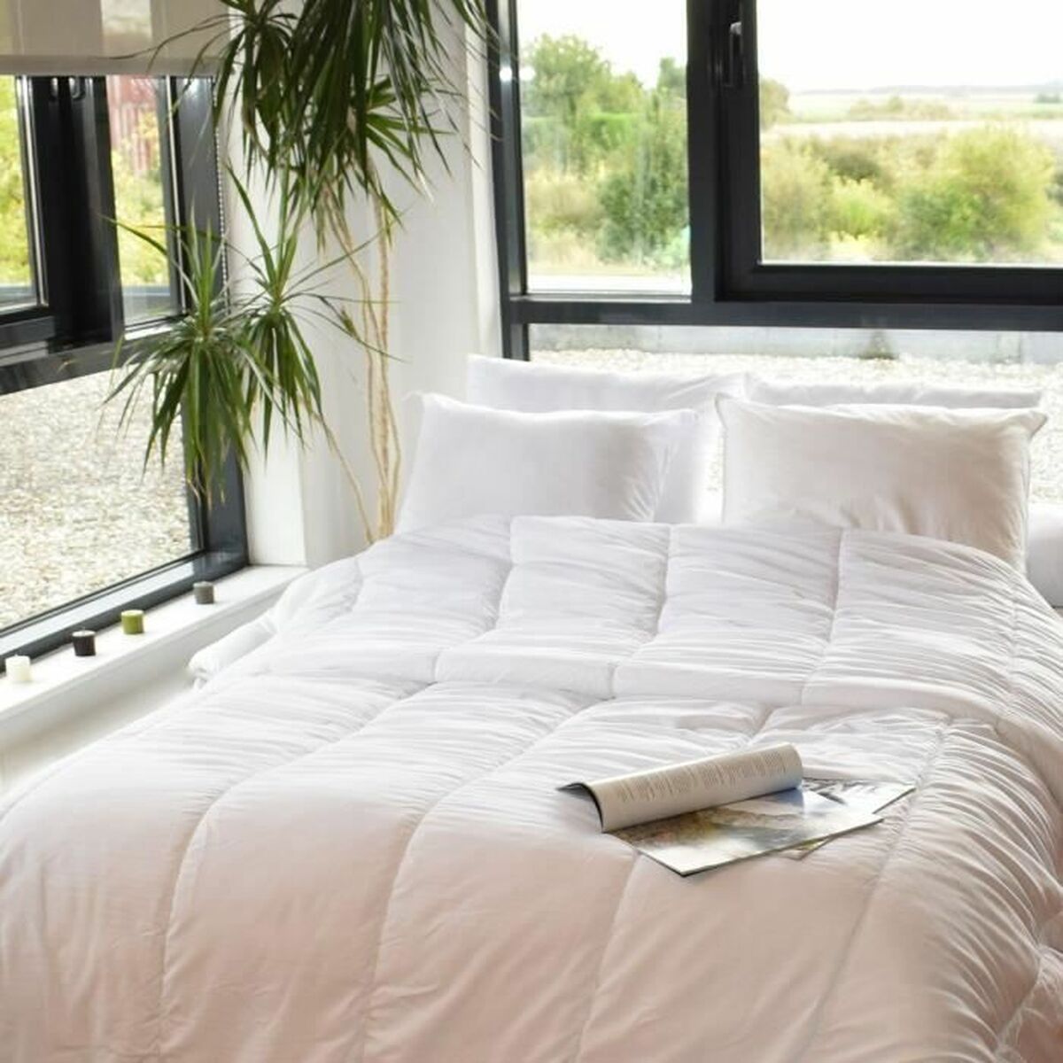 V5H9E92CC75CAE8A5D447D53C47BAC4C227R7406498P3