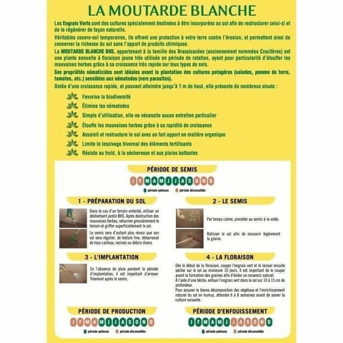 V7HCF064A05204535BA86B780644BA9E739R7405493P2