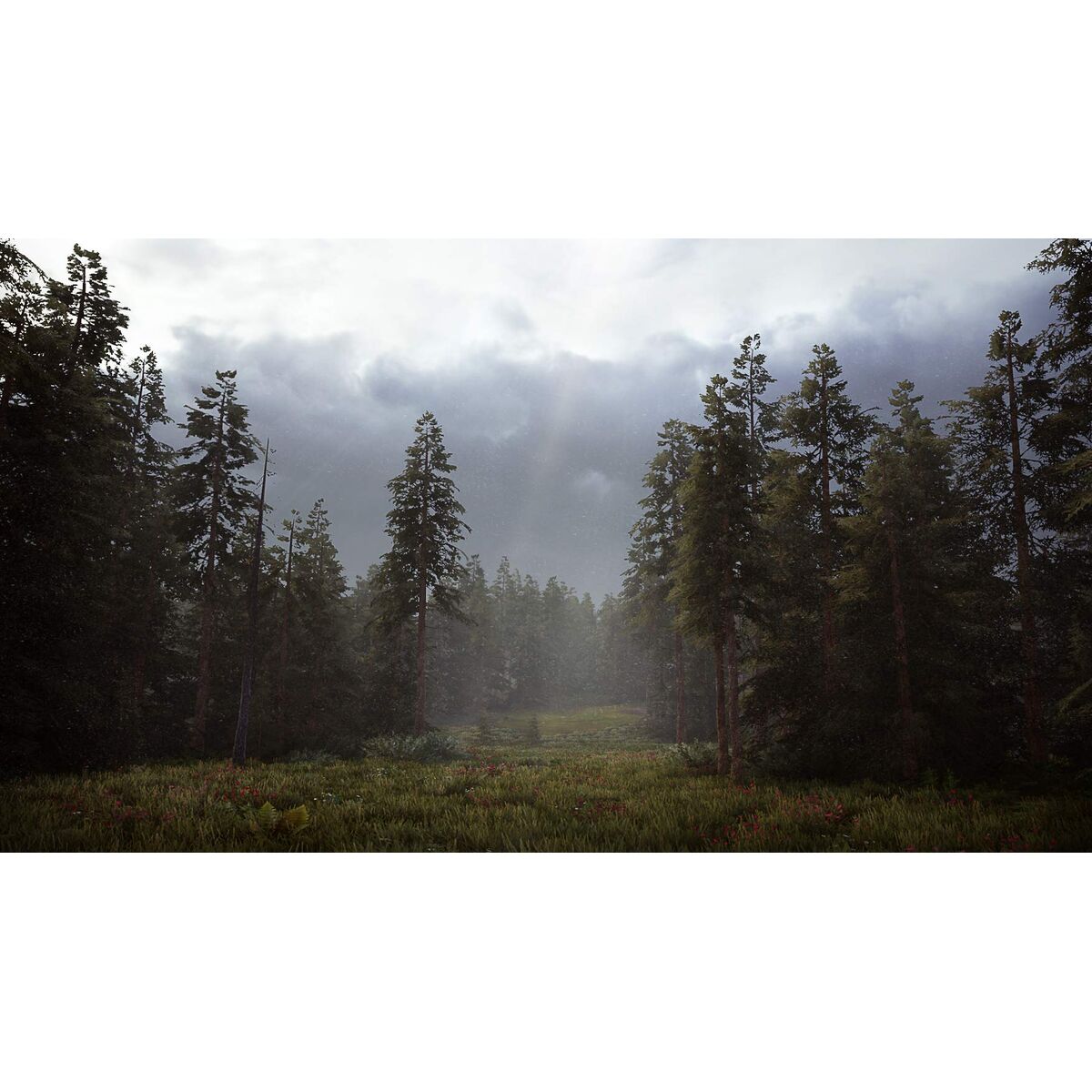 Nacon Playstation 5 Video Game Nacon Hunting Simulator 2