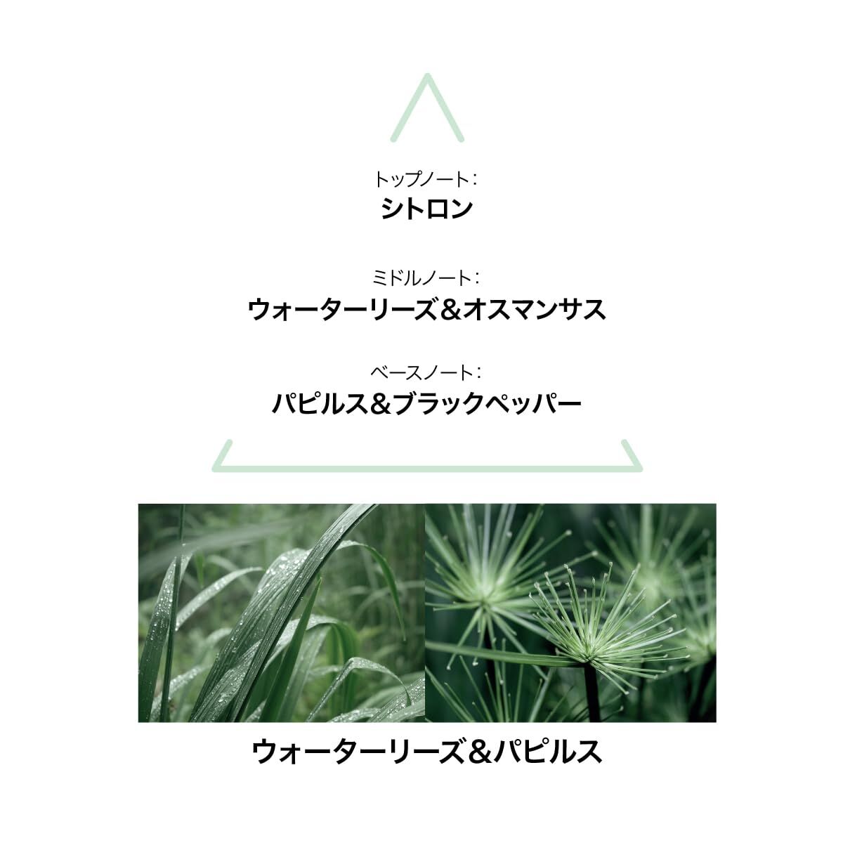 V2H7F97239DCA61E6DB0237236926FD020BR7745269P3