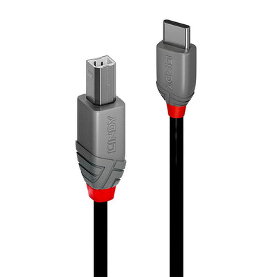 Lindy USB Cable 2.0 Type-c a B 1M, Line Antracita — image 1