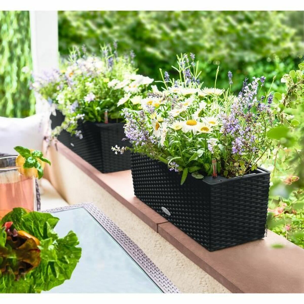 V6H81D557F75D3EE9D466D5D463D2D84065R6458000P2