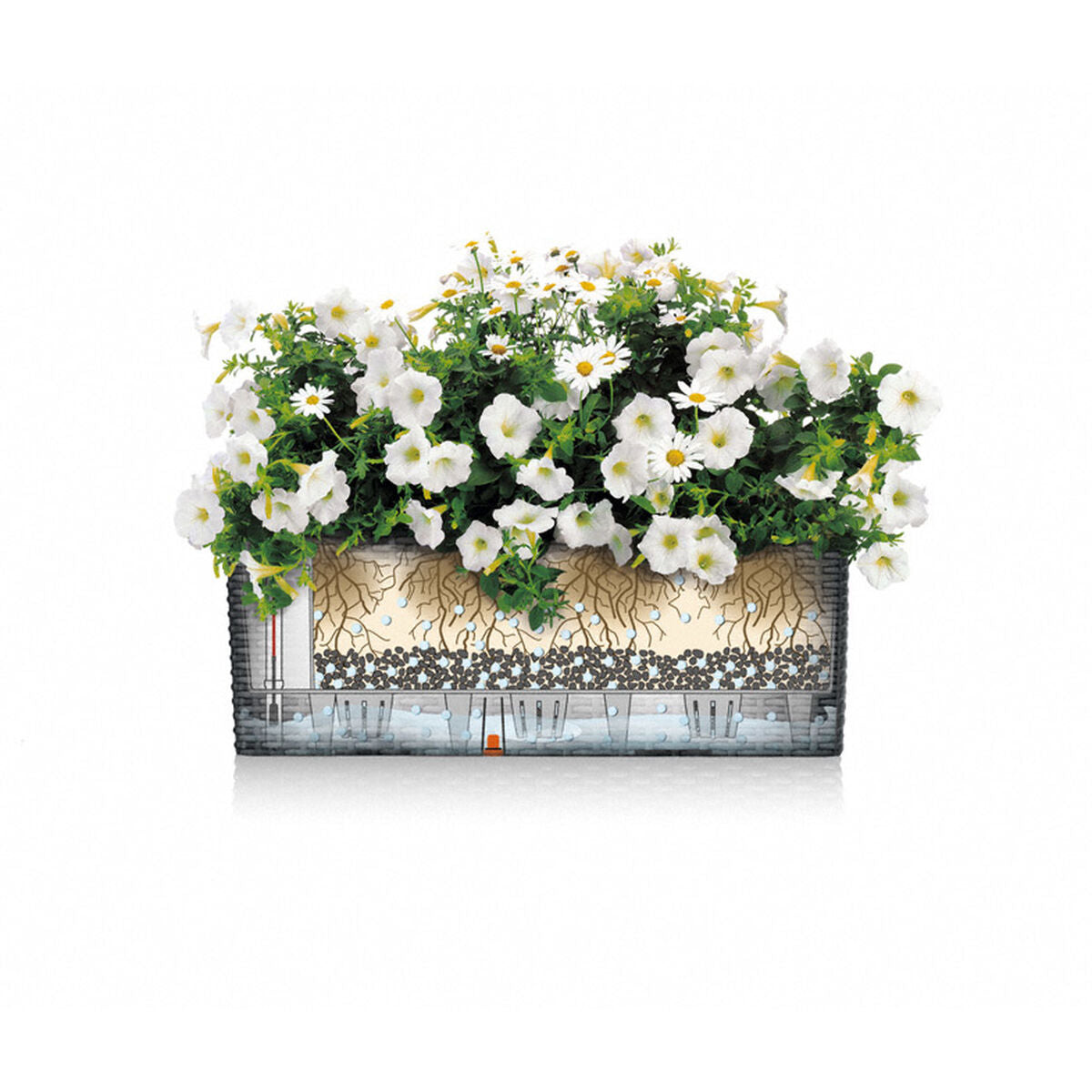 V5H8EEC68045DAB4384DF20F2C53C0D6DB2R5837901P4