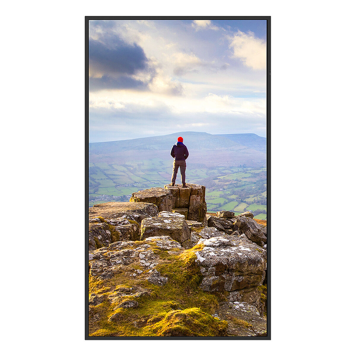 Sharp Videowall Monitor Sharp 60006181 4K Ultra Hd 43"