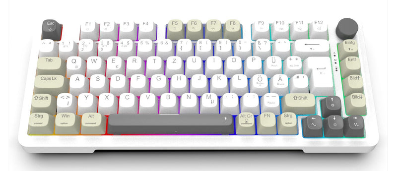 Inca Gaming Keyboard RGB/Grayswitch/USB-C/Bt 2.00M White