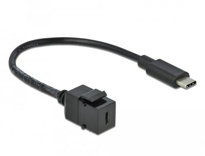 Delock Keystone Modul USB 5Gbps Type-c™ Buchse Zu USB Type-c™ Plug With Cable 25CM — image 1