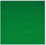 Walimex Fabric Fondo Green 2,85X6M
