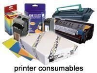 Epson Genuine Paper Inkjet Synthetic 44PULGADASX40M — image 1