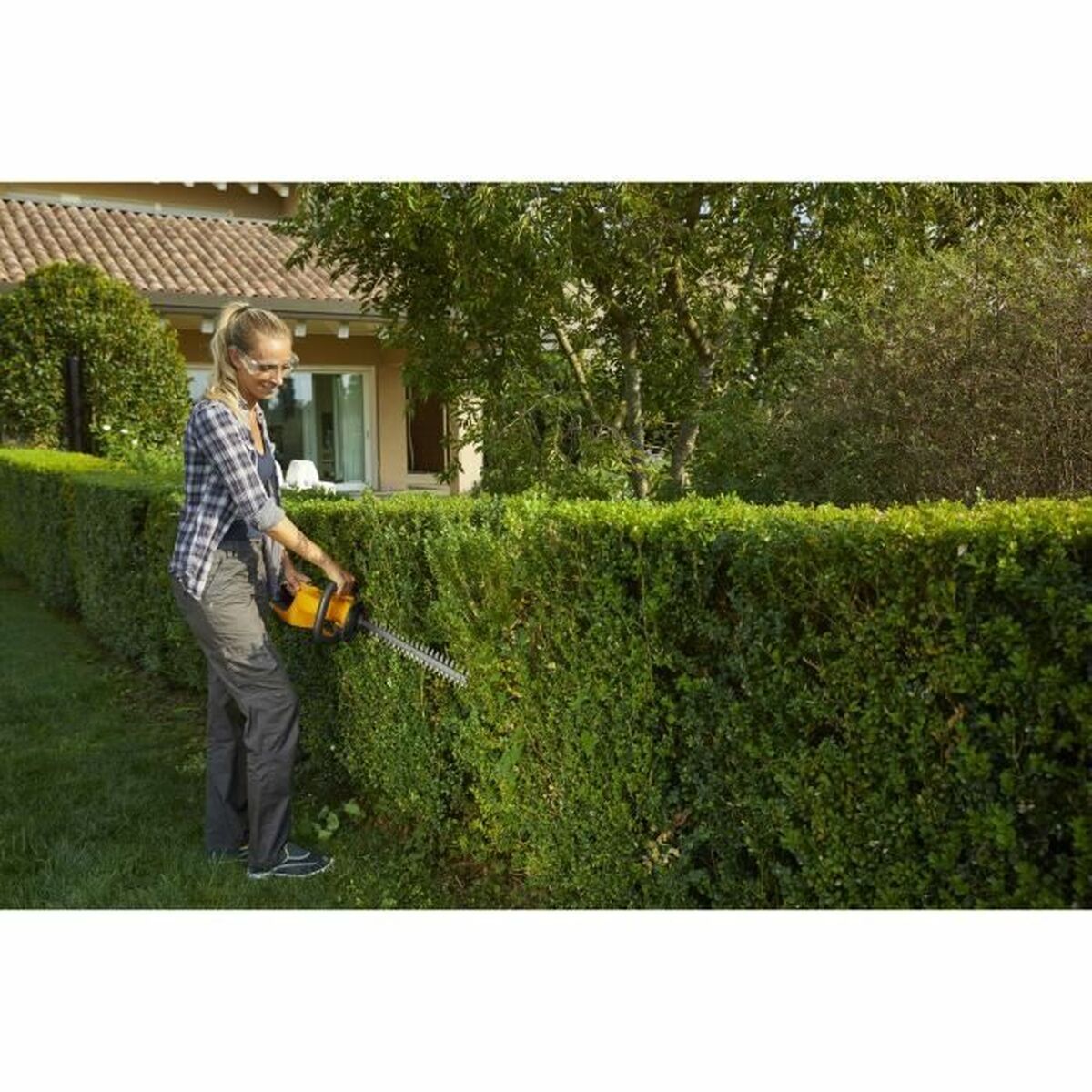 V9HF31A73E86D2B31E129CDA0EC151B4262R6248537P3