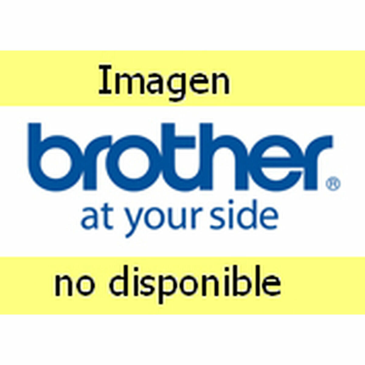 Brother Printer Input Tray Brother Ld4F000080040I