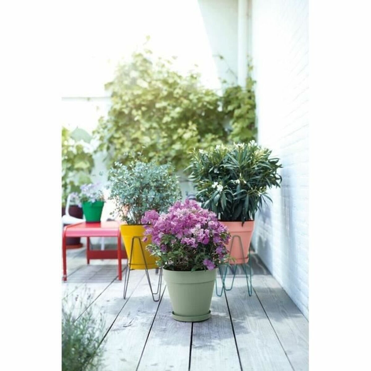 V9HF1BD483746D8234AD9B7AA969EF1F514R3441363P6