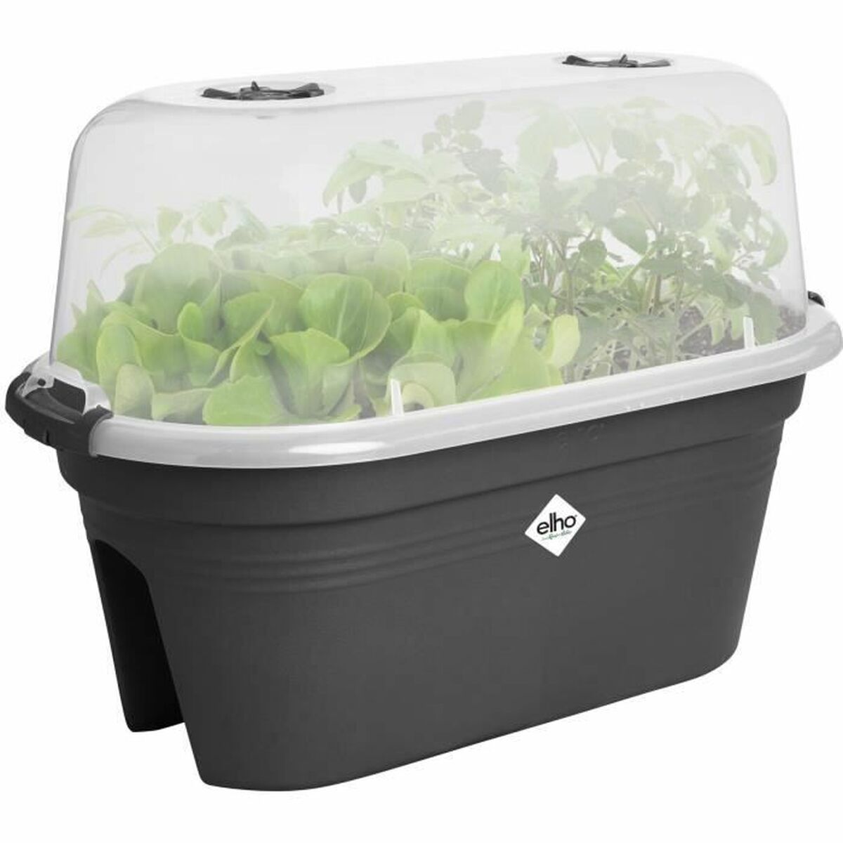 V5HA6BB6907683FD17D28ACC46514B3E8AAR5529051P2