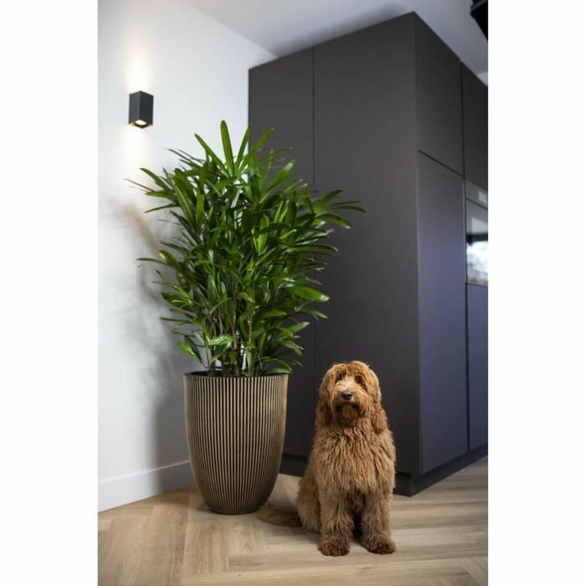 V7H276A9BD99D39DB06DFEB945BC0216466R7057445P3