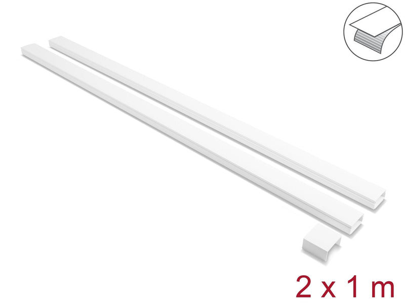 Delock Canaleta Cables Self-adhesive With Schiebedeckel 40 X 19MM Includes Connection Units - Length 1M Pack 2