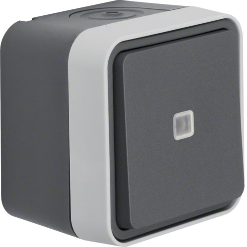 Berker 30763525 Ko-conmutador, Iluminado Ap Wd W.1 Grey