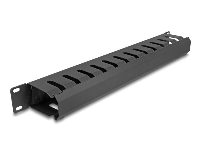 Delock 67069 Panel Organisation Cables 19? With Brush And 2 Aberturas 1U Black