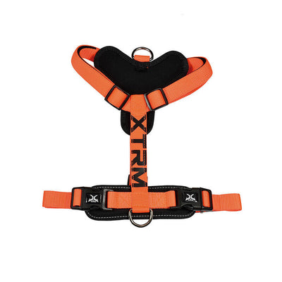 Arnés X-trm Cronos Neon Flash 60-100 X 2,5CM Orange — image 1