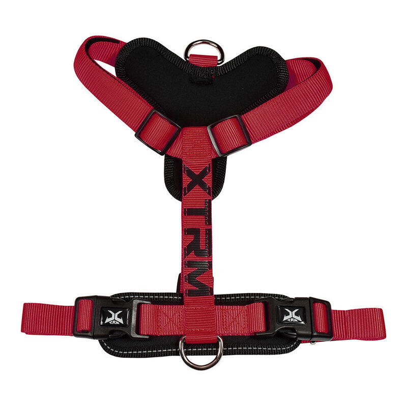 Arnés X-trm Cronos Neon Flash Red/Black T-s 15MM X 35-60CM
