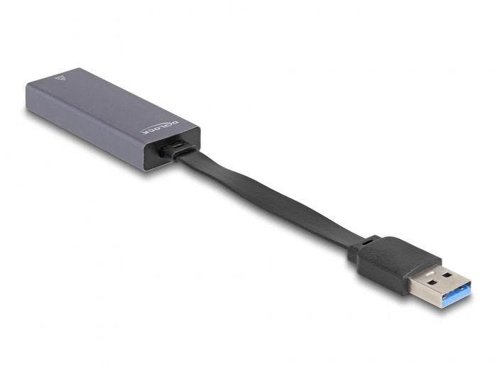 Delock 66247 Adapter USB Tipo-a a LAN Gigabit 2,5 Pulgadas