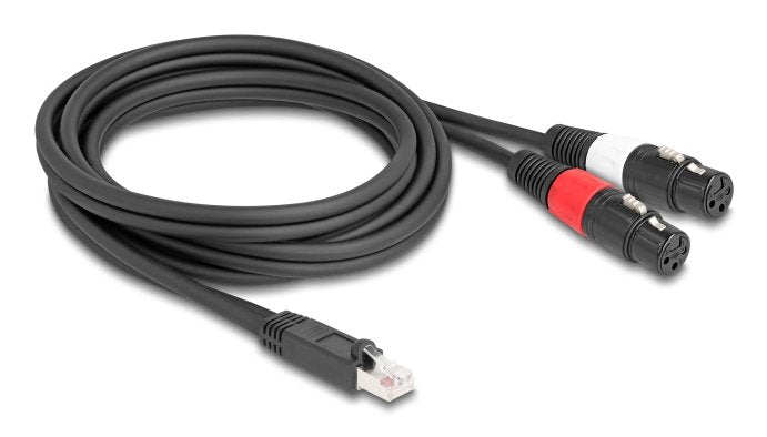 Delock Cable Adapter RJ45 Connector Male a 2 X Xlr 3 Pin Connector Female Black 2M