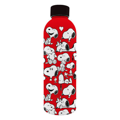 Bottle Soft Steel Inoxidable Snoopy Peanuts 800ML — image 1