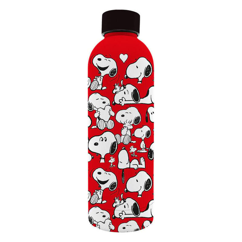 Bottle Soft Steel Inoxidable Snoopy Peanuts 800ML
