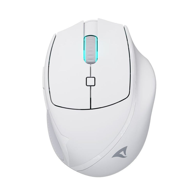 Sharkoon Mouse Officepal M25W White 4044951039654