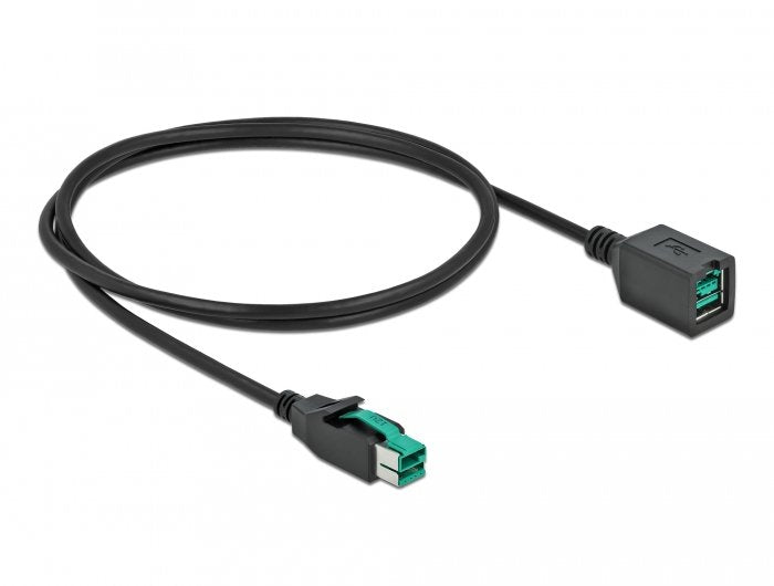 Delock Poweredusb Cable Alargador 12V 1M