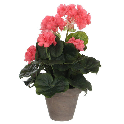 Geranio Salmón Pvc With Plant Pot Grey — image 1