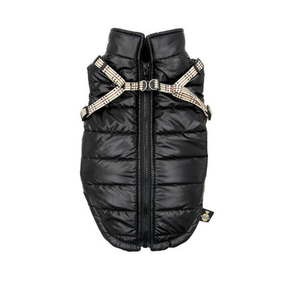 Pchelka Tobiasz Black - Ropa Perros - Size M — image 1